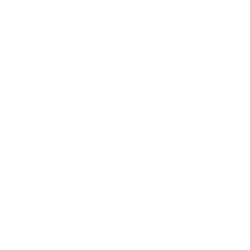 Alchemy Pay USD logo