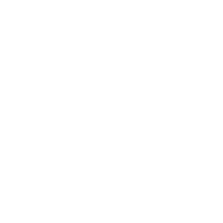 Aidos Kuneen USD logo