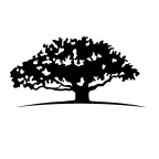 WisdomTree Yield Enhanced US Aggregate Bond Fund logo