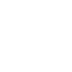 Axie Infinity USD logo